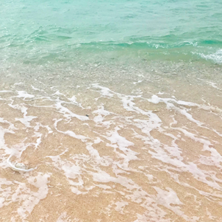 Fujisawa Exp Developersio