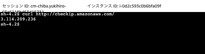 NAT_Instance_AWS_Systems_Manager_-_Session_Manager