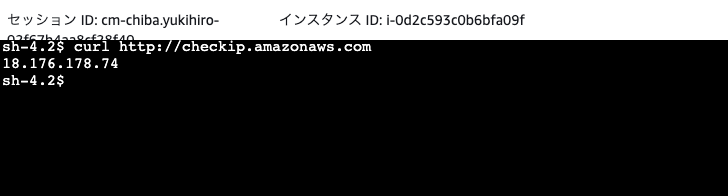 NAT_Packer_AWS_Systems_Manager_-_Session_Manager