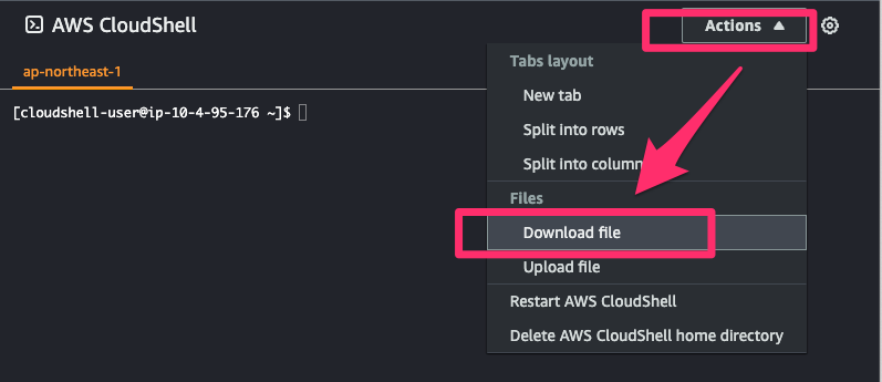 AWS_CloudShell_Download